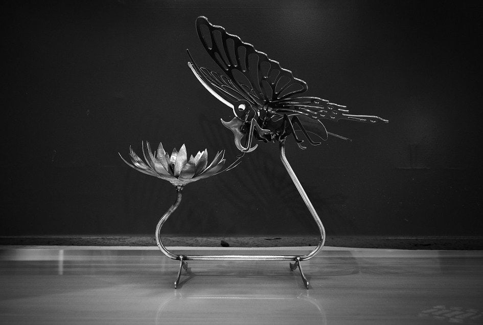 Private: Hovering Butterfly