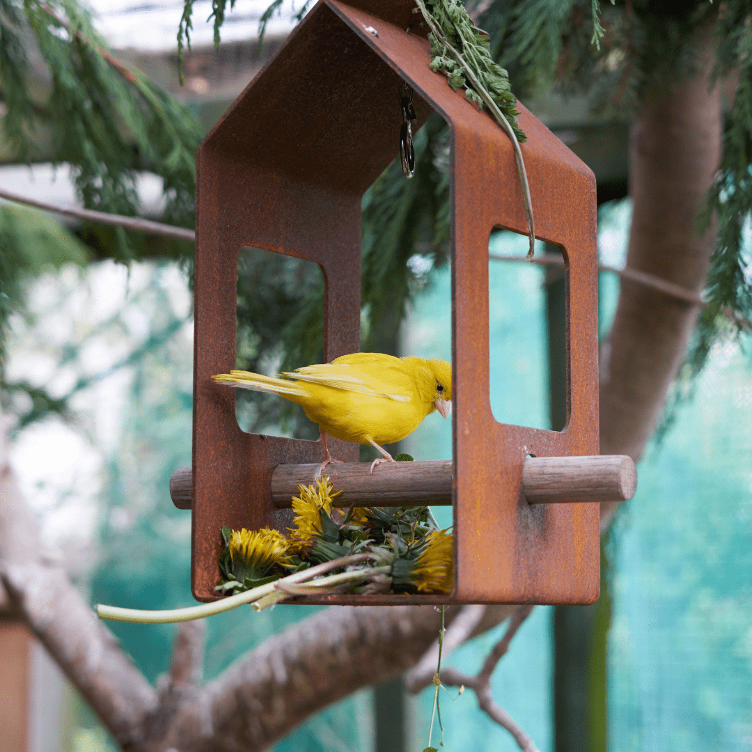 Corten Bird Feeder - Arthur Francis Sculpture