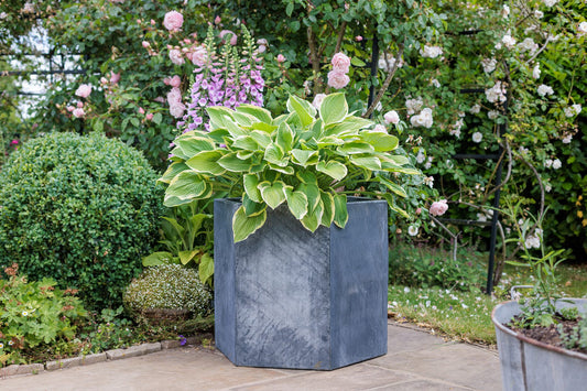 Hallaton Hexagonal Steel Planter - Arthur Francis Sculpture