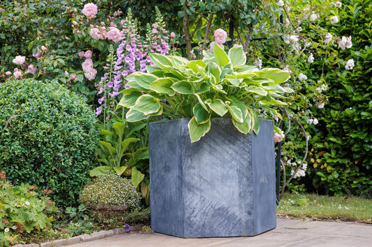 Hallaton Hexagonal Steel Planter - Arthur Francis Sculpture