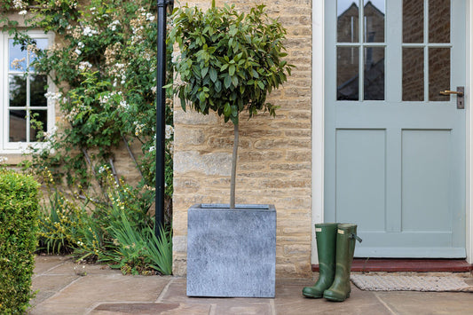 Rockingham Cube Planter - Arthur Francis Sculpture