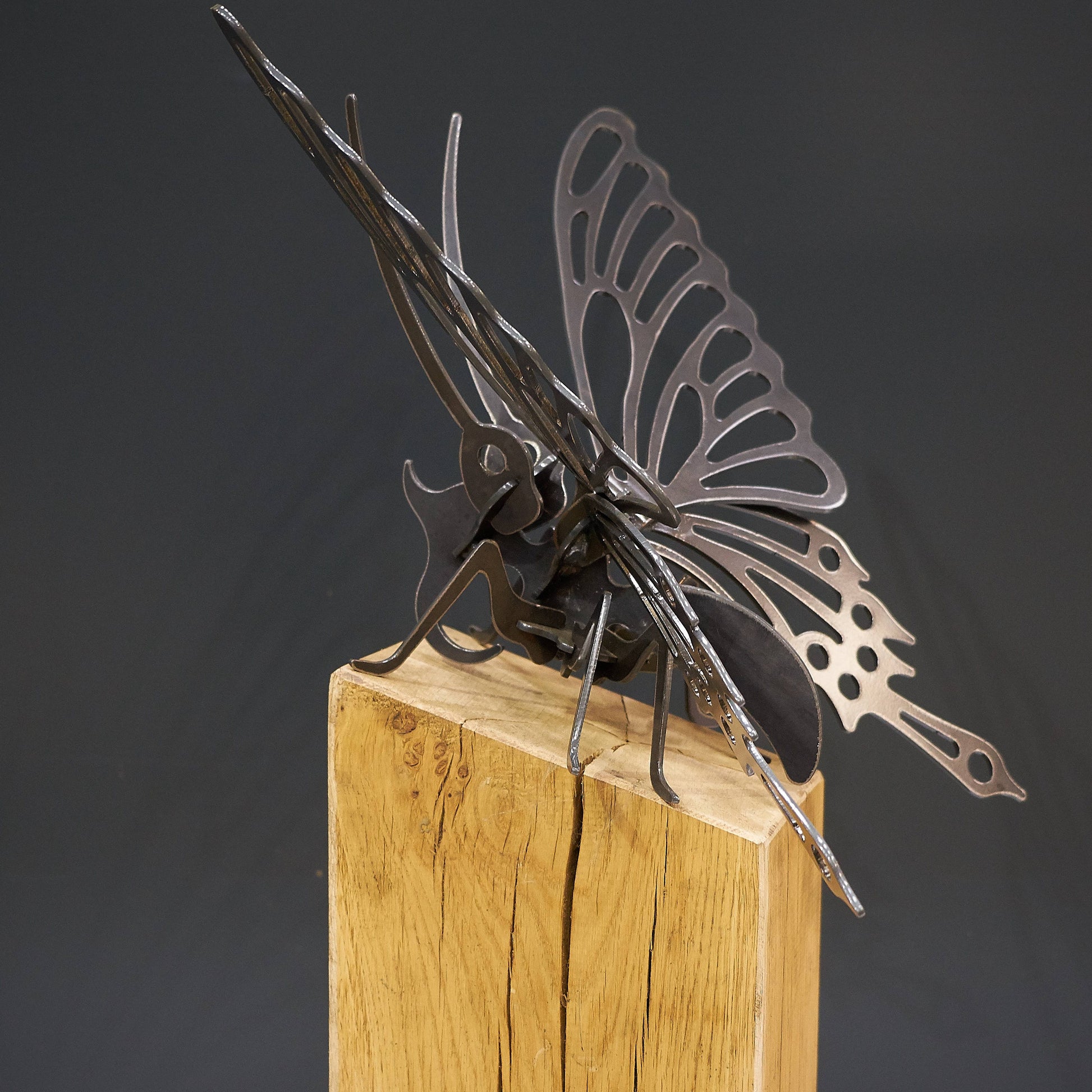 Oak Plinth Butterfly - Arthur Francis Sculpture