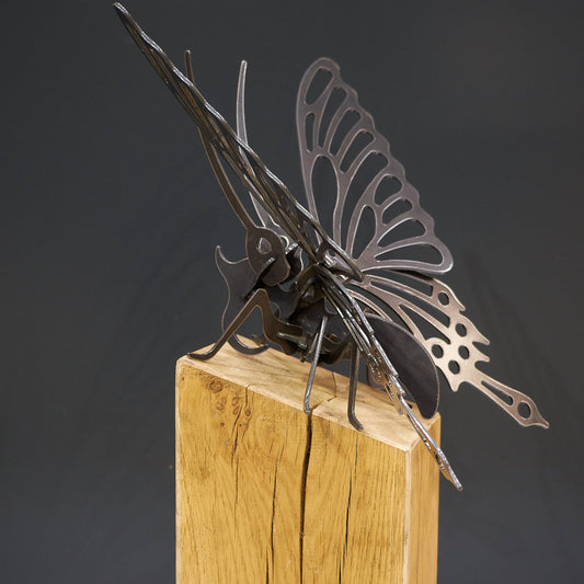 Oak Plinth Butterfly - Arthur Francis Sculpture