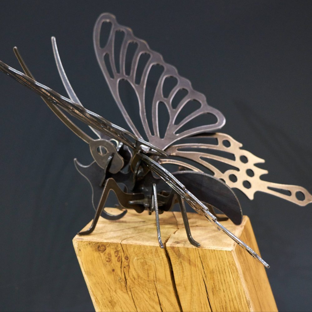 Oak Plinth Butterfly - Arthur Francis Sculpture