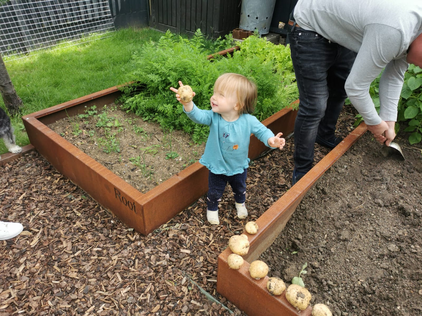 Braybrooke Corten Raised Bed Planters - Arthur Francis Sculpture