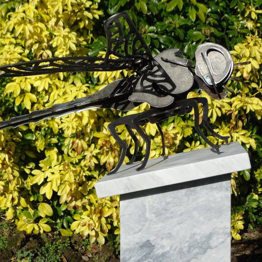Oak Plinth Dragonfly - Arthur Francis Sculpture