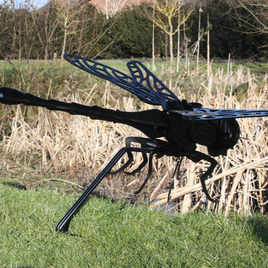 Eyebrook Dragonfly - Arthur Francis Sculpture