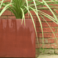 Rockingham Cube Planter - Arthur Francis Sculpture