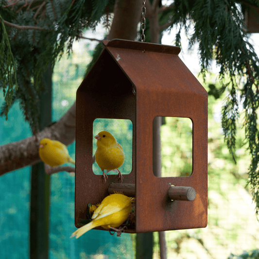 Corten Bird Feeder - Arthur Francis Sculpture