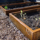 Braybrooke Corten Raised Bed Planters - Arthur Francis Sculpture
