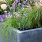 Rockingham Trough Planter - Arthur Francis Sculpture