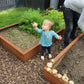 Braybrooke Corten Raised Bed Planters - Arthur Francis Sculpture