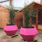 Brampton Large Hexagonal Planter - Arthur Francis Sculpture
