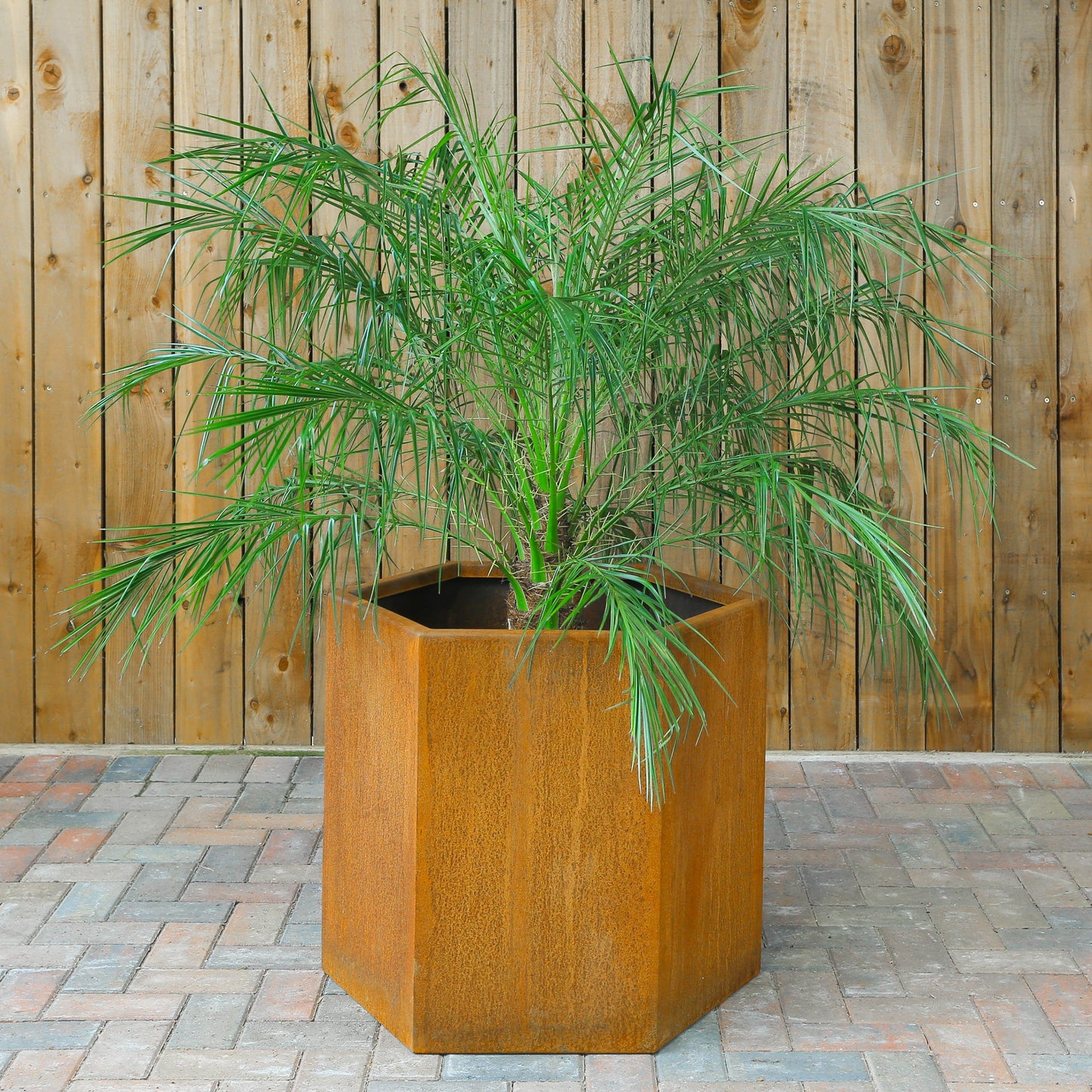 Hallaton Hexagonal Steel Planter - Arthur Francis Sculpture