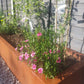 Rockingham Trough Planter - Arthur Francis Sculpture