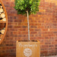 Personalised Rockingham Cube Planter - Arthur Francis Sculpture