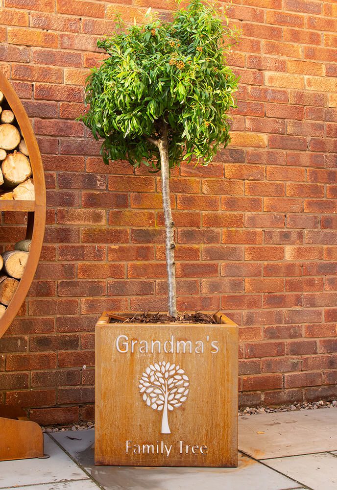 Personalised Rockingham Cube Planter - Arthur Francis Sculpture